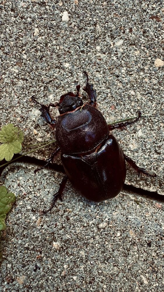 Photograph by Светлана