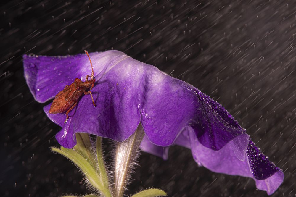 Photograph by Екатерина Бурикова