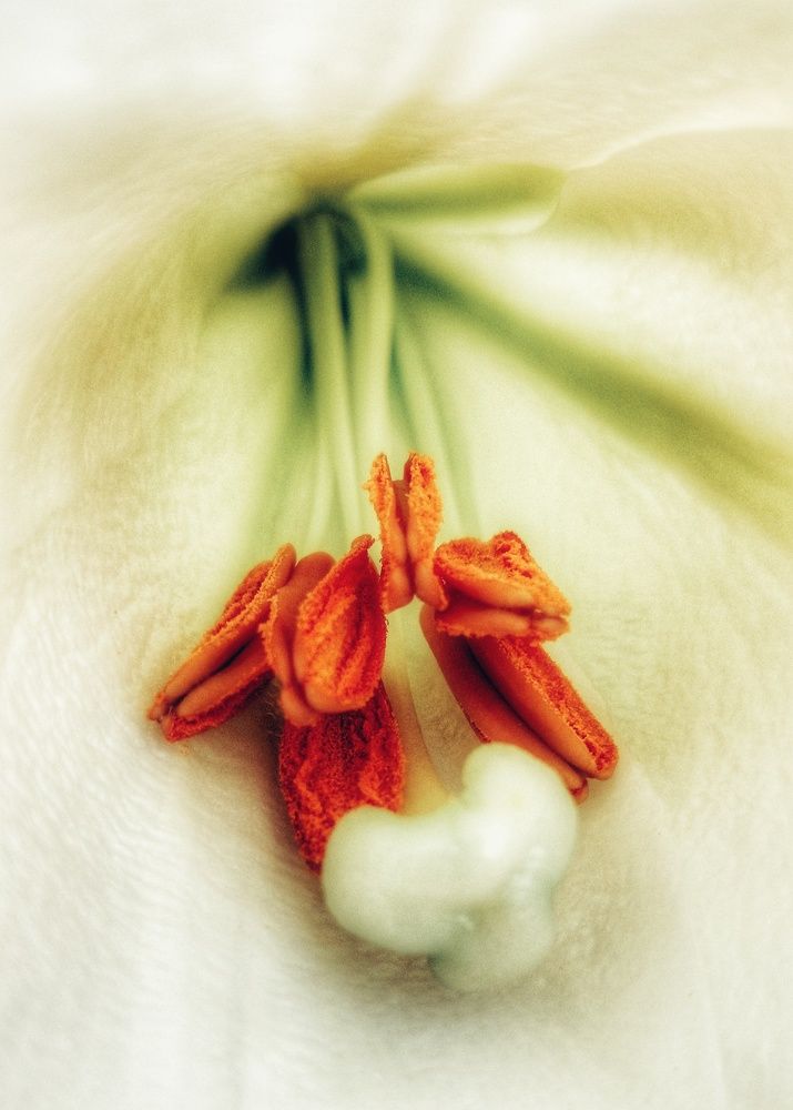 Фотография автора Valerya Vasileva