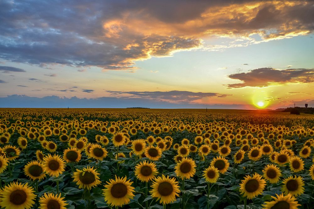 Photograph by Епишев Андрей