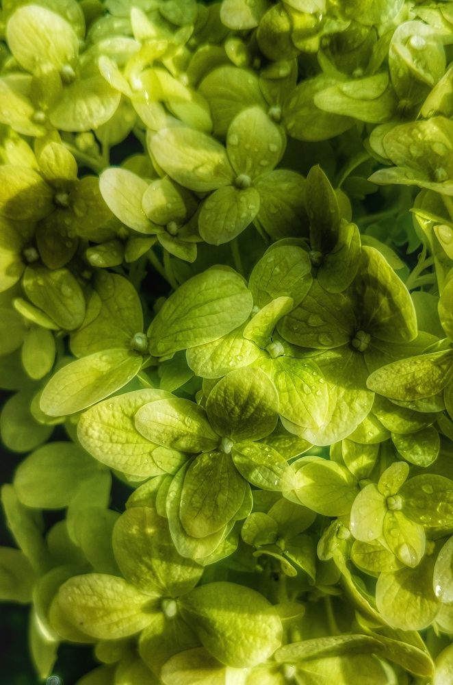 Фотография автора Valerya Vasileva