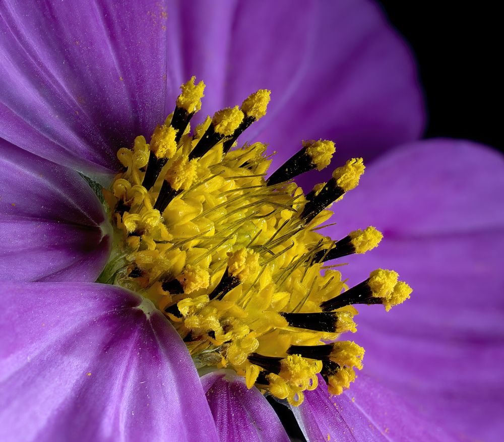 Photograph by Людмила Железнова