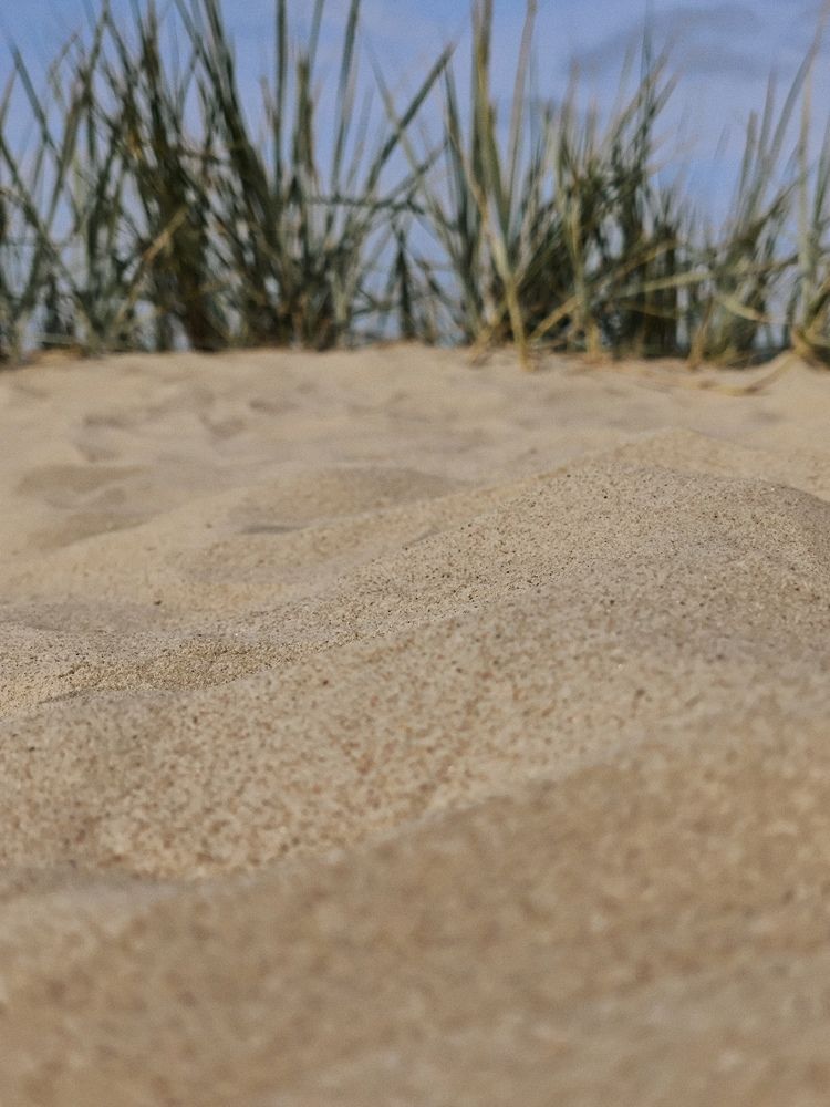 Photograph by Ksenija Bartoško