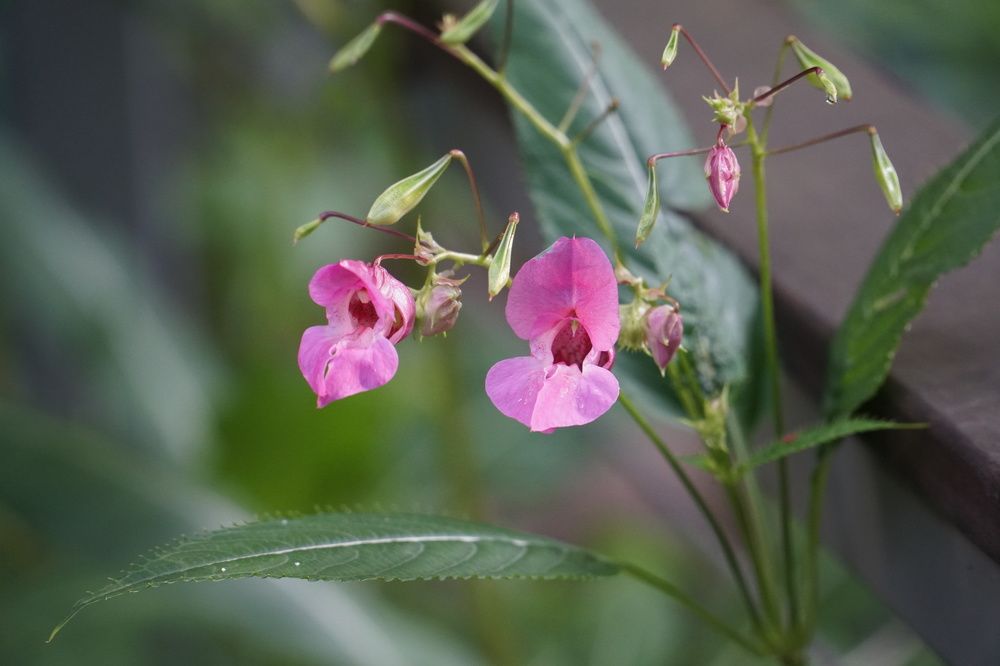 Фотография автора Сергей