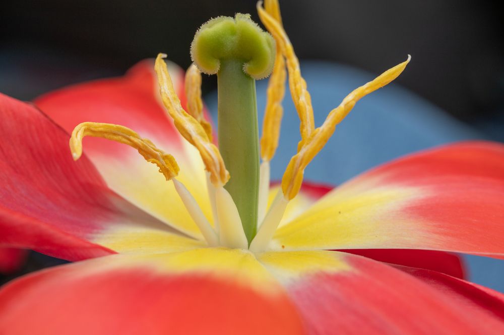 Photograph by Цибуляк Анна