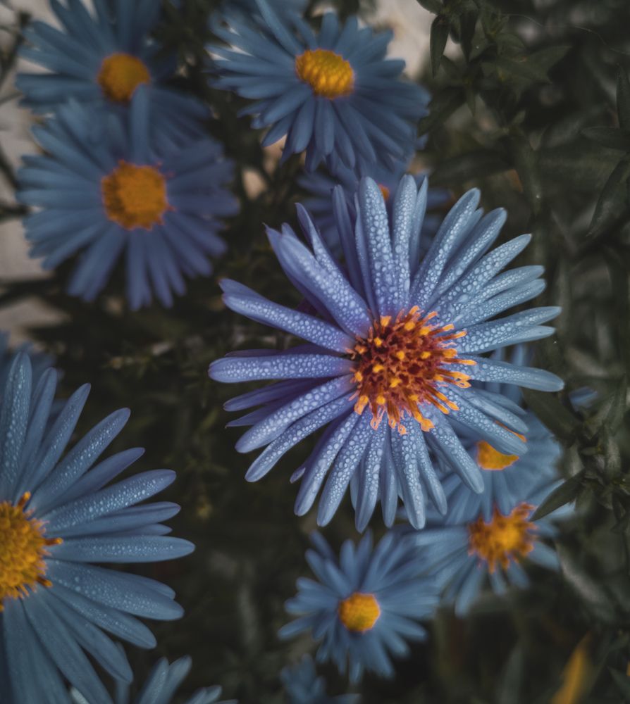 Фотография автора Геннадий Ломеко