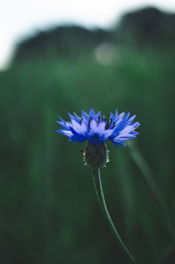 Фотография автора Геннадий Ломеко