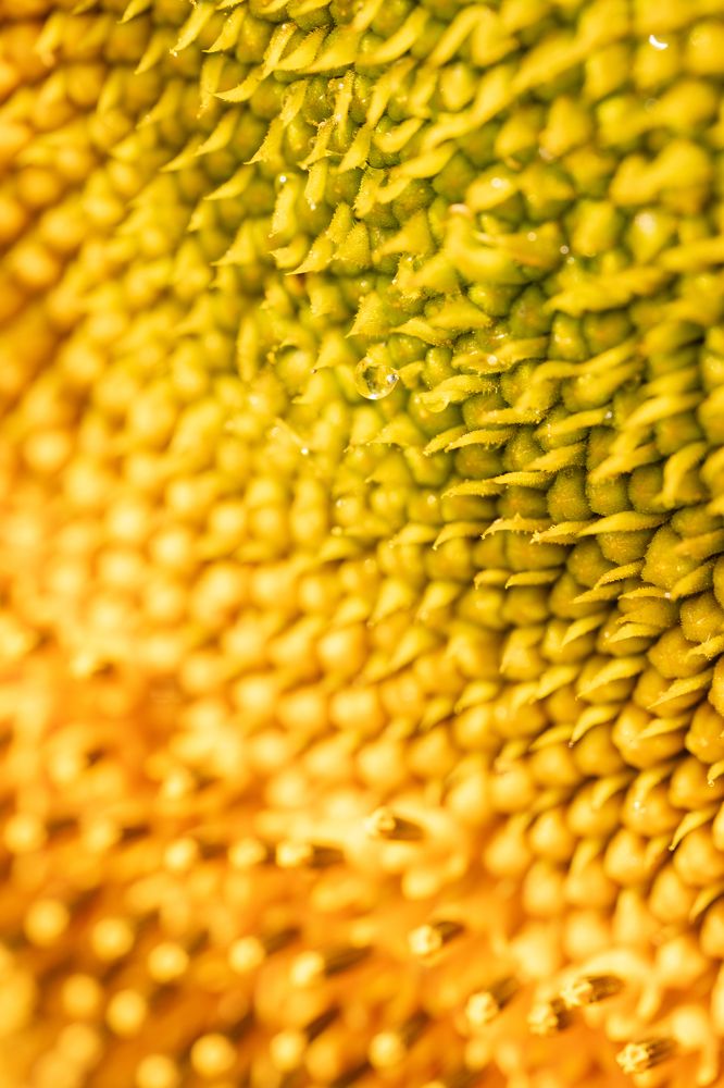 Photograph by Цибуляк Анна