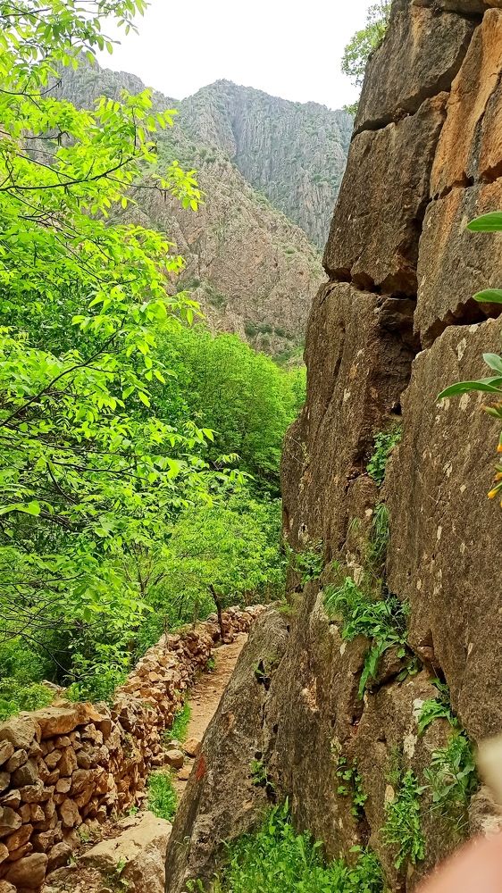 Photograph by Milad Nazari