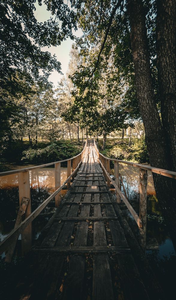 Фотография автора Геннадий Ломеко