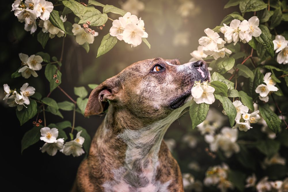 Photograph by Lucie Nermuťová