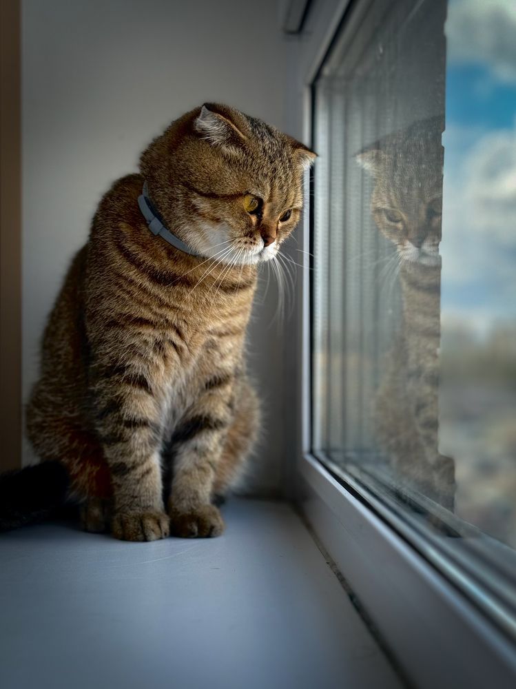 Photograph by Екатерина Слепнева