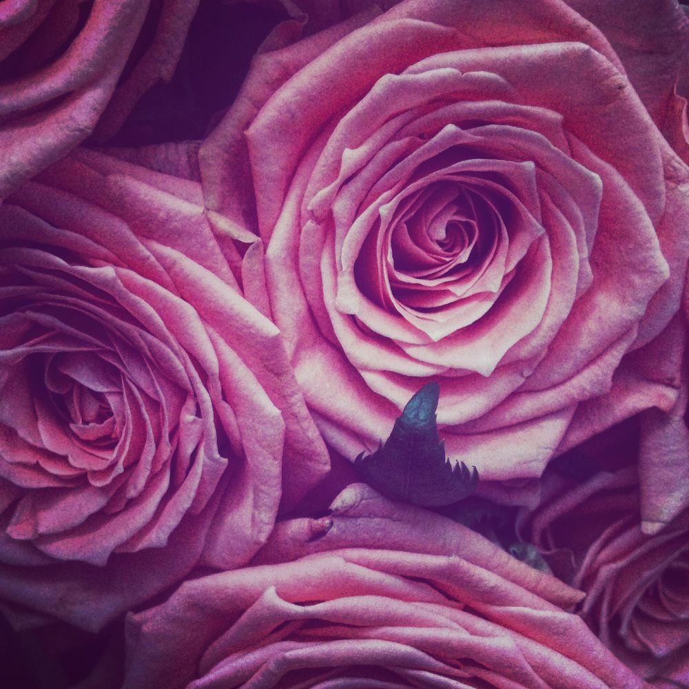 Photograph by Симона Стоянова