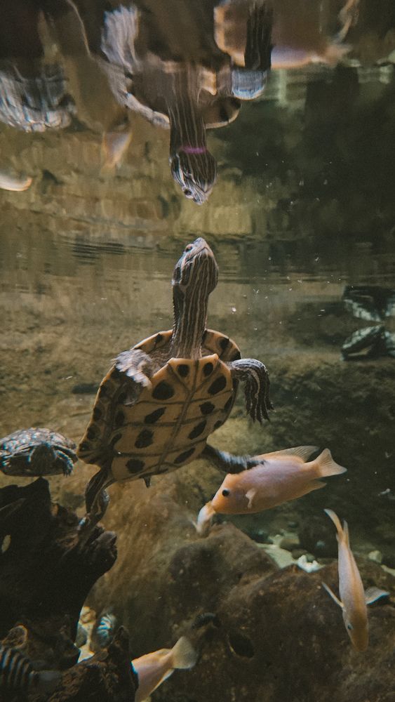 Фотография автора Olga