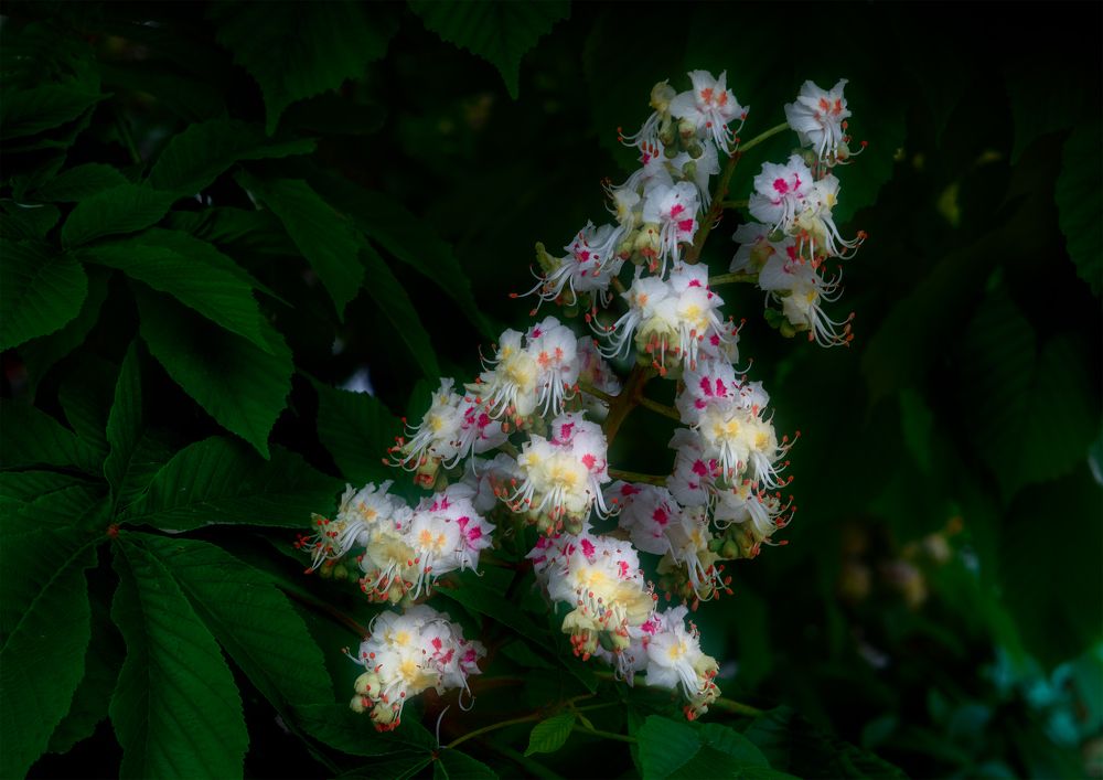 Photograph by Владимир Кваша