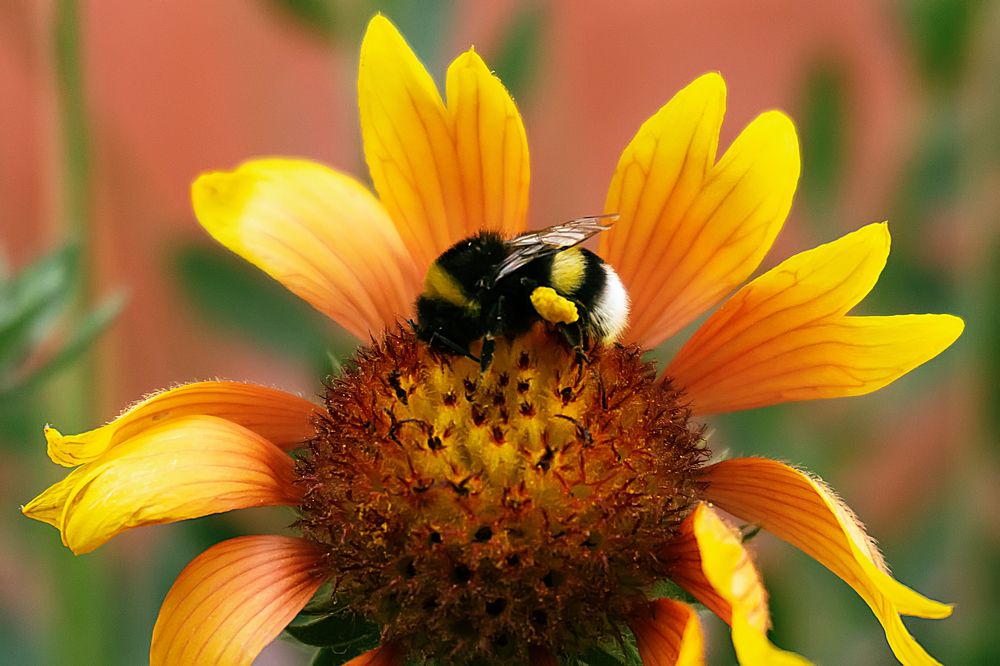 Photograph by Виталий Павлов