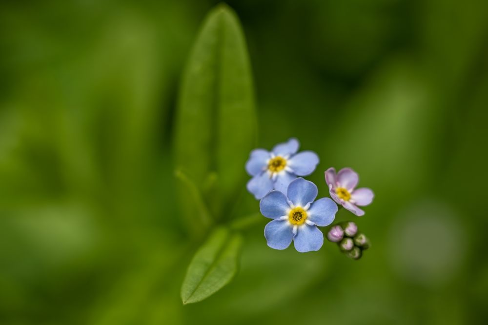 Photograph by Юлия Куликова