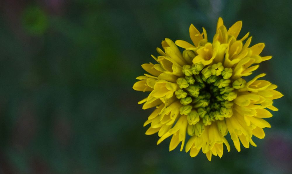 Photograph by shinlay shinas