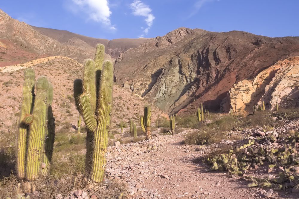 Paisaje de Maimará 2023