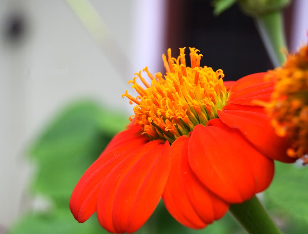 Photograph by shinlay shinas