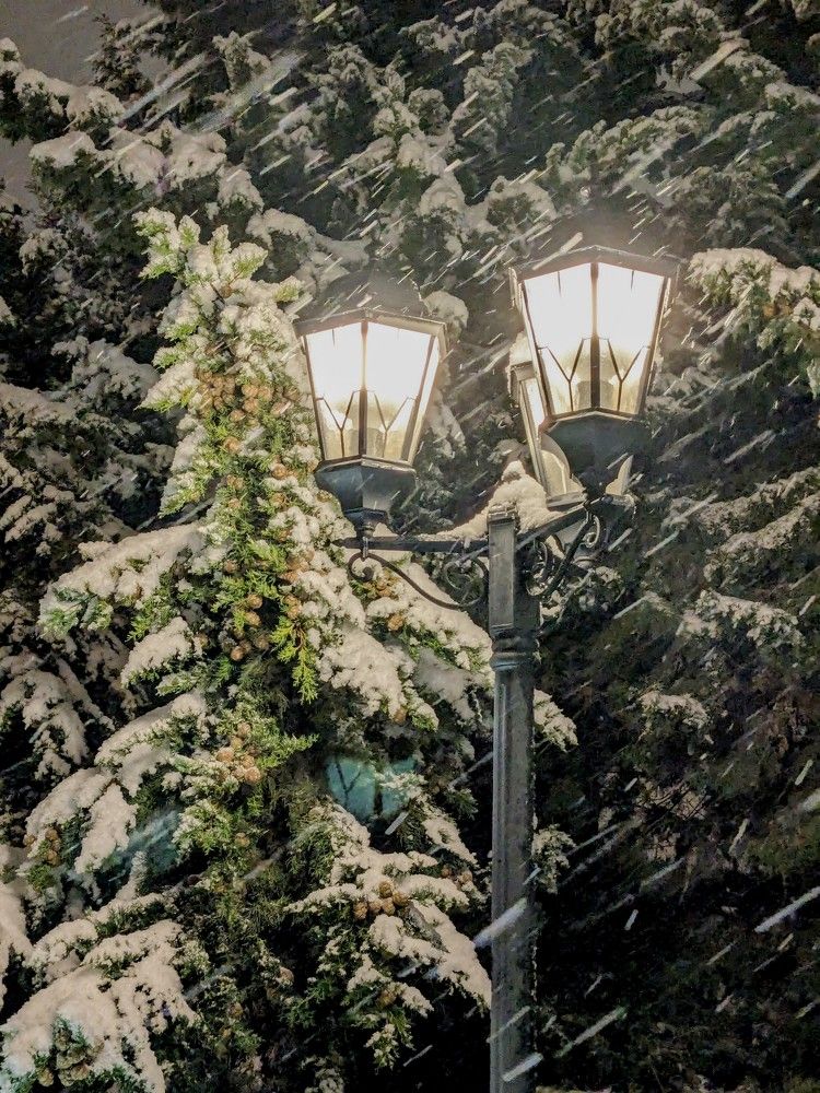 Photograph by Мария Гусакова