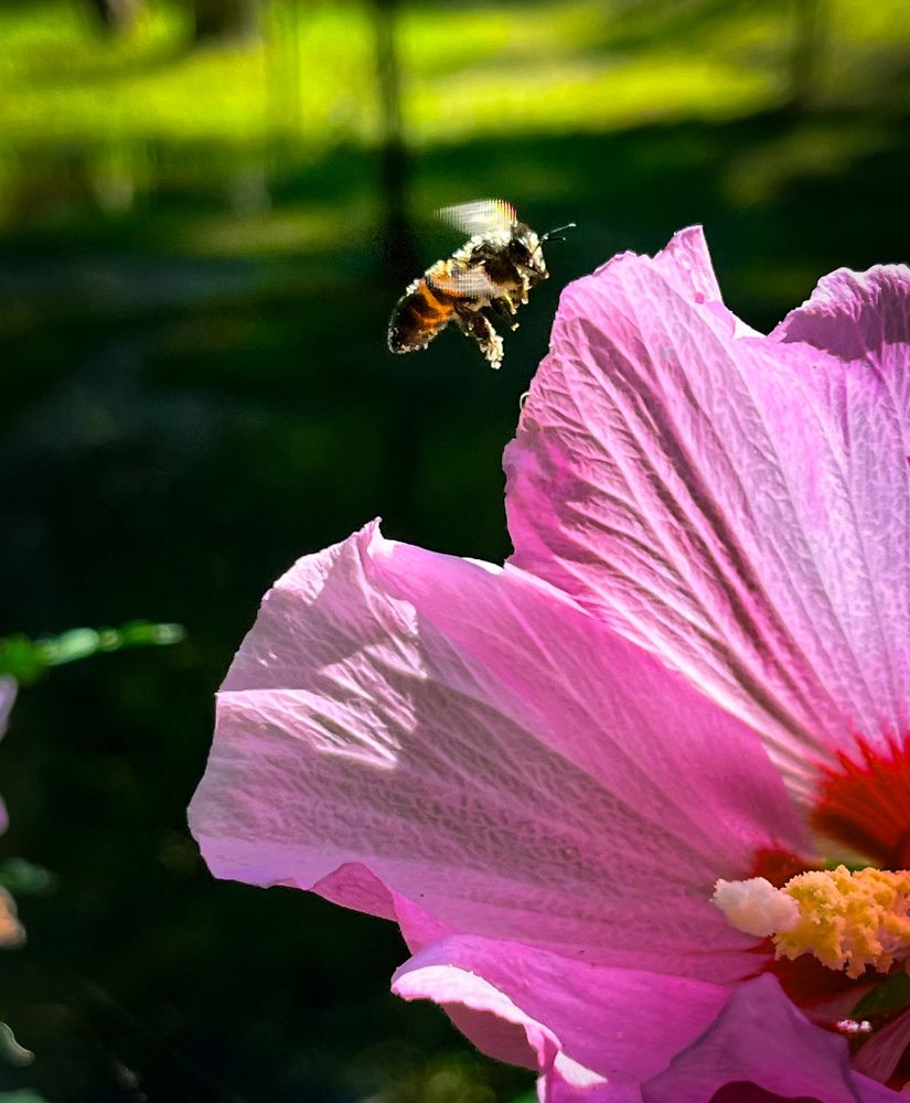 Photograph by Siarhei Saladukhin