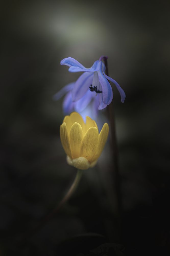 Photograph by Анна Тен