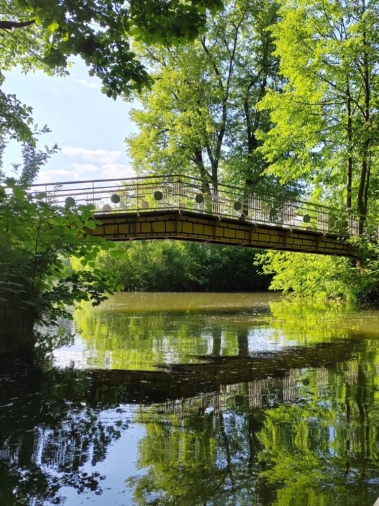 Фотография автора Татьяна Егорова