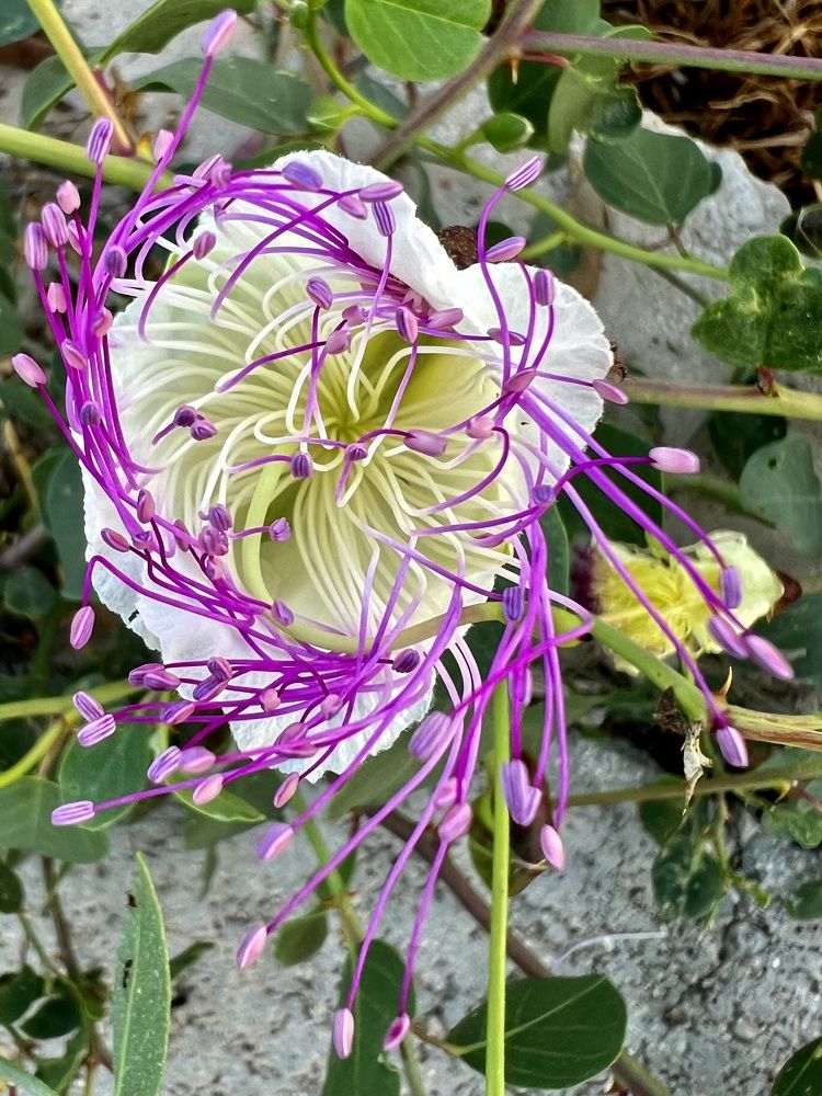 Photograph by Шестакова Наталья