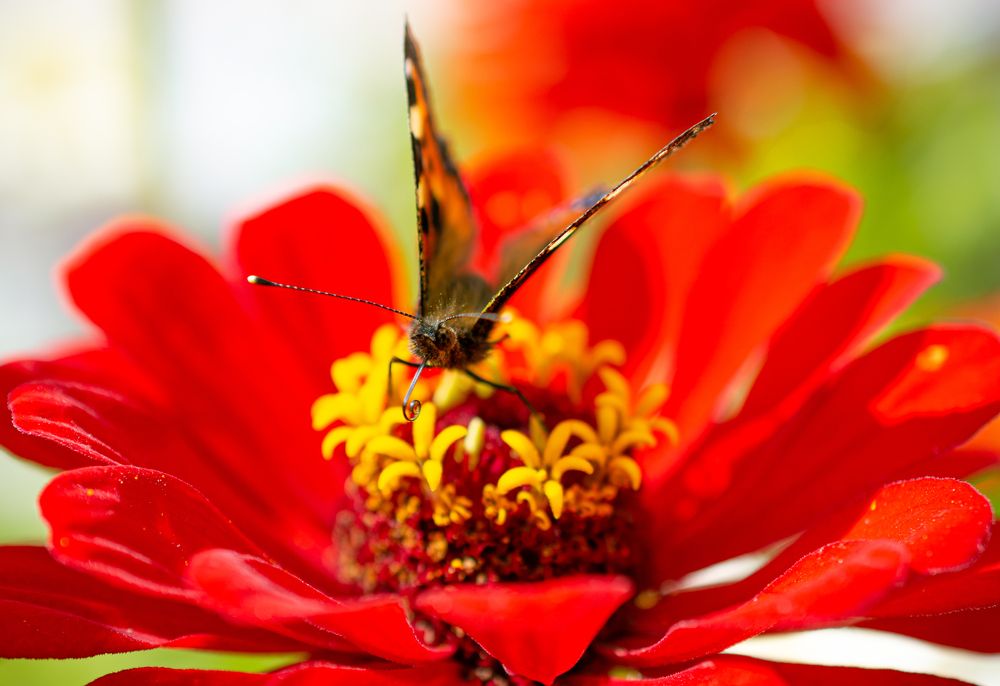 Photograph by Максим Жухлистов