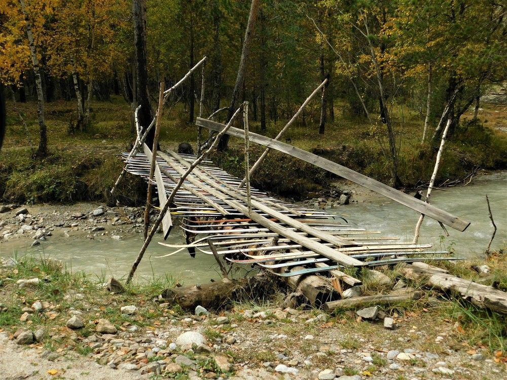 Photograph by Чкареули Светлана