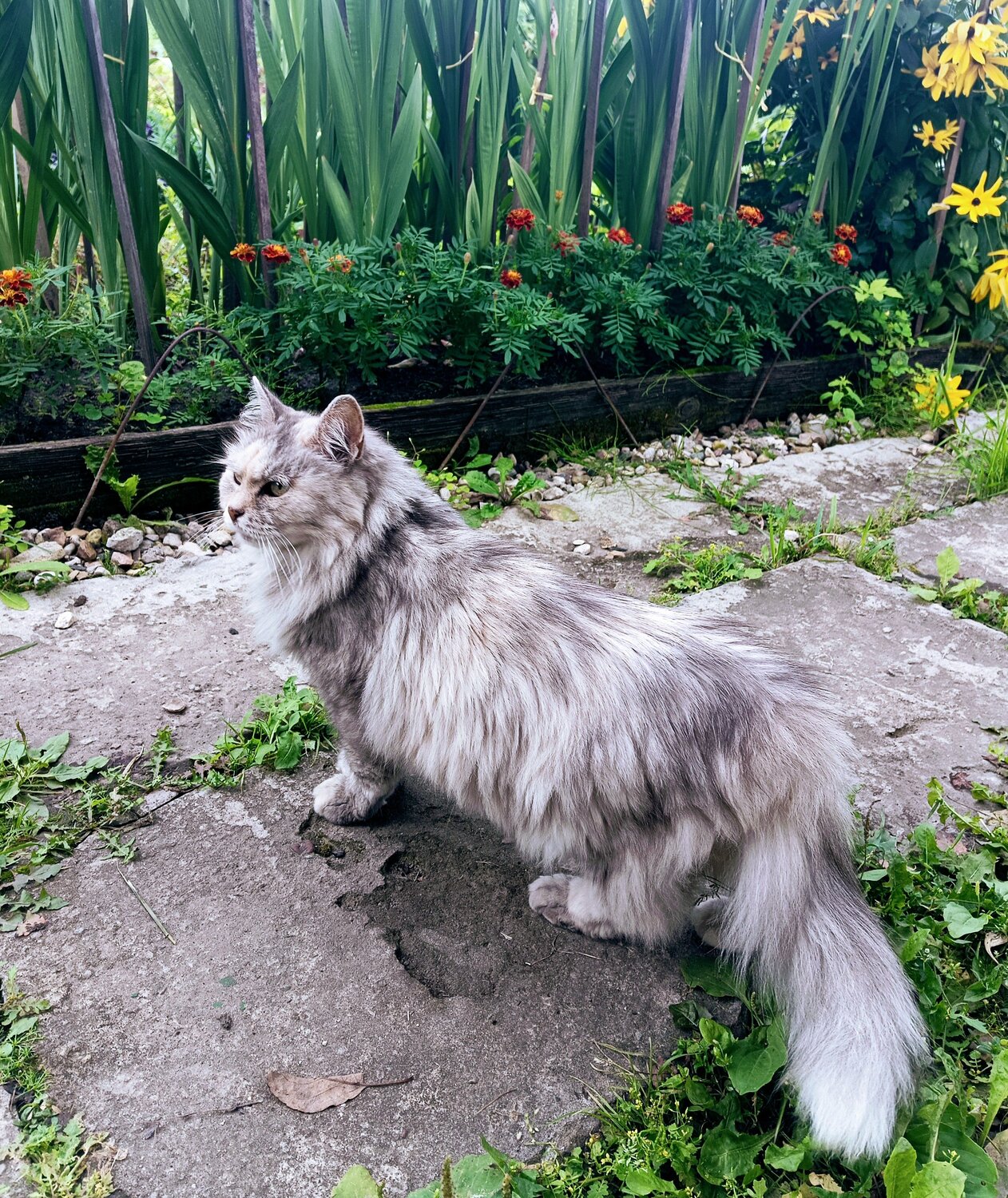 Photo #10902416