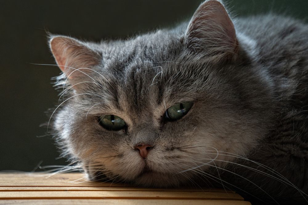 Photograph by Олеся Легостаева