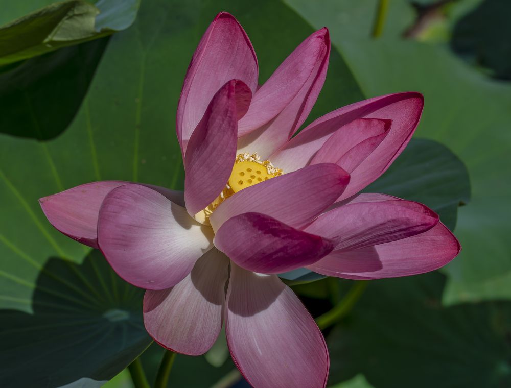 Фотография автора Дмитрий Кетов