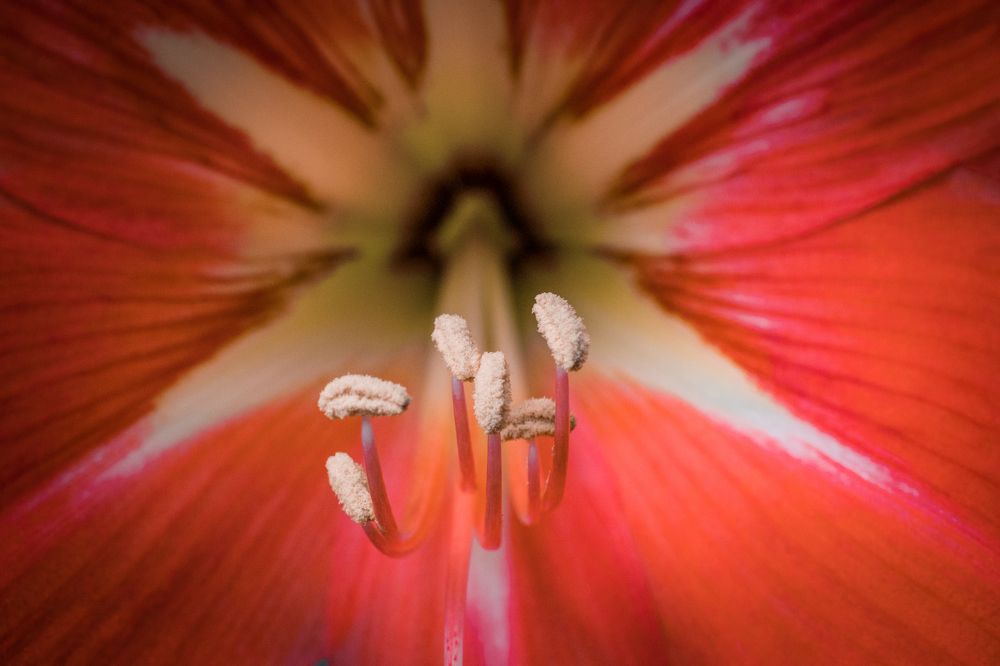 Photograph by Сергей Шпаков