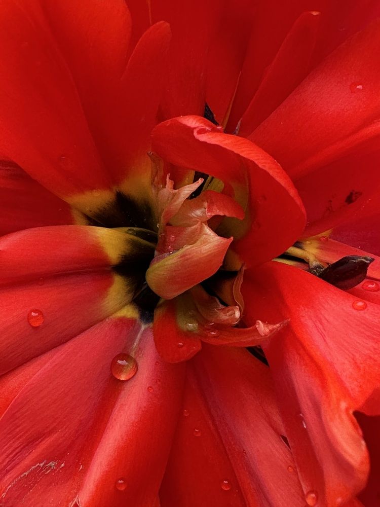 Photograph by Наталья Супрунюк