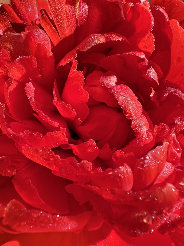 Photograph by Наталья Супрунюк