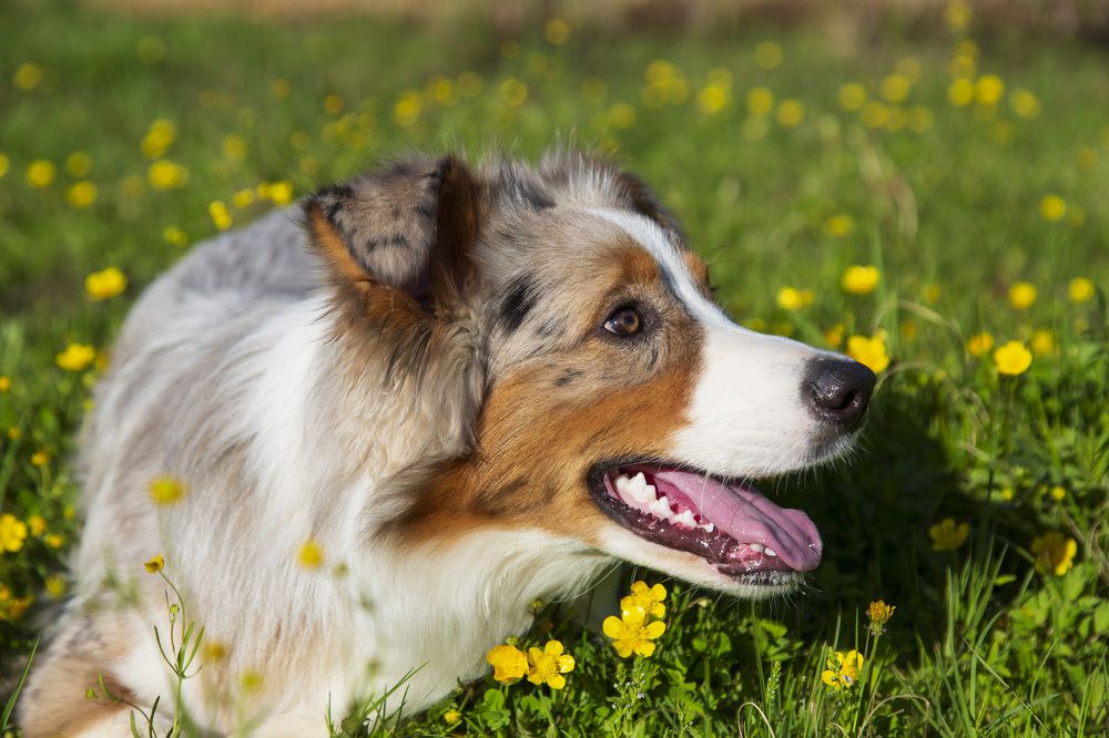 Фотография автора Полина Жаринова