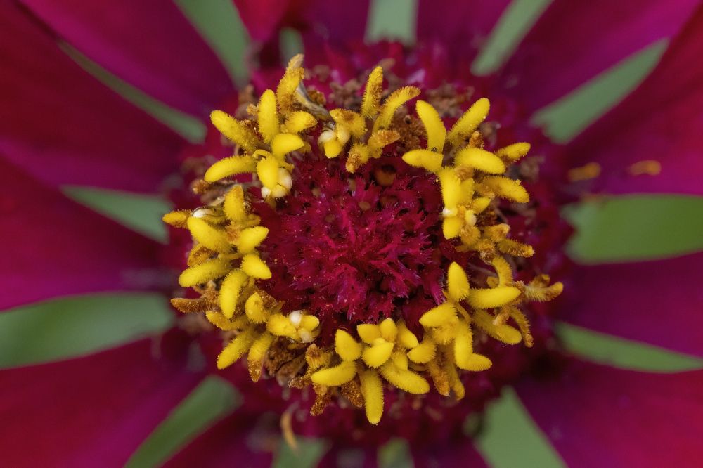 Photograph by Сергей Шпаков