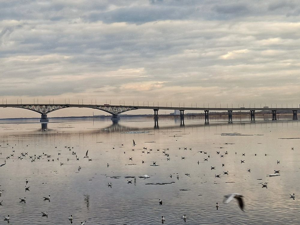 Photograph by Новикова Елена Сергеевна