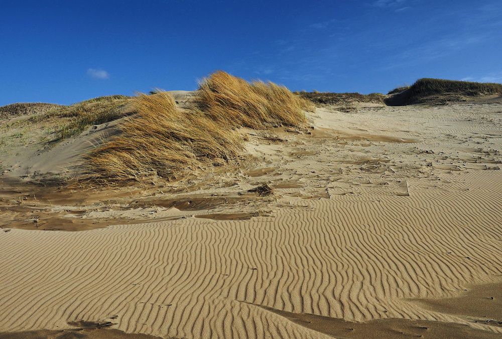 Photograph by Ирина Протченко