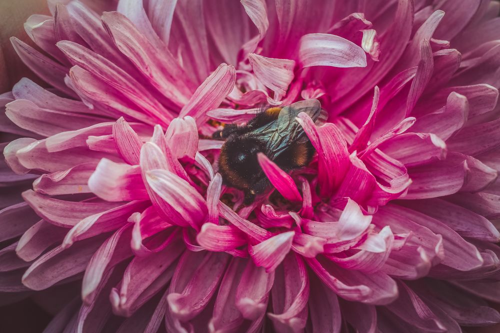 Photograph by Сергей Шпаков