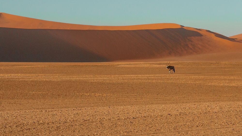 Photograph by Елена Захарова