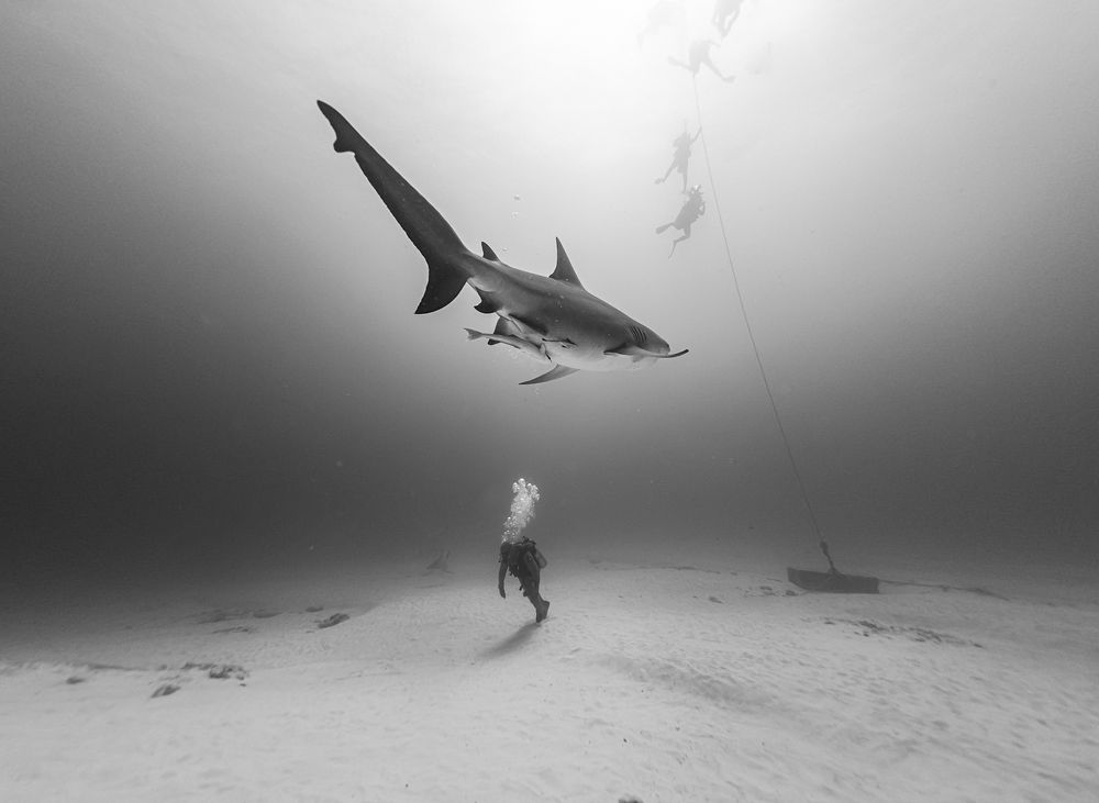 Photograph by mizael palomeque