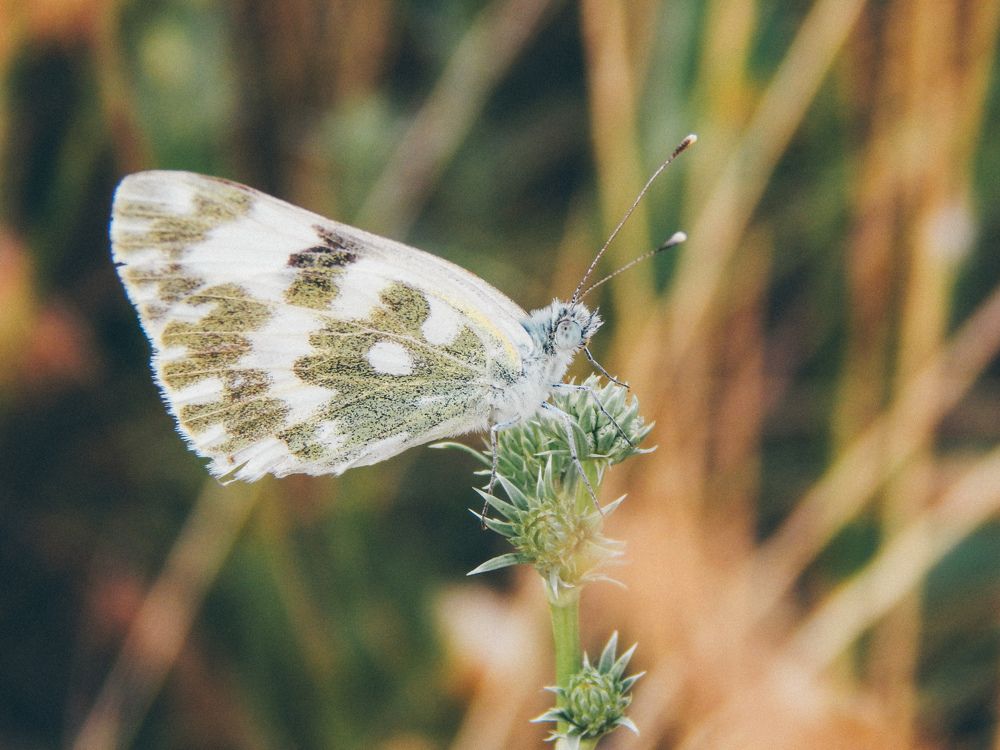 Photograph by Aлександра Чаплыгина