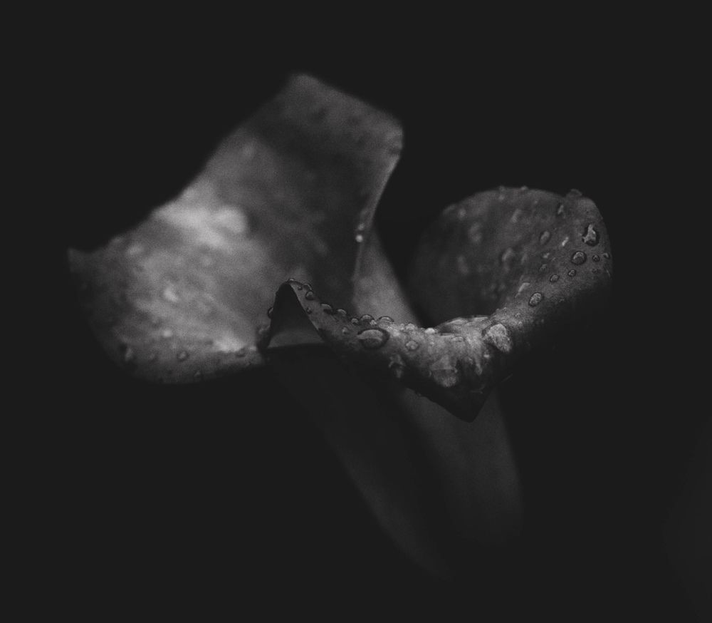 Photograph by Маргарита Нефедкина