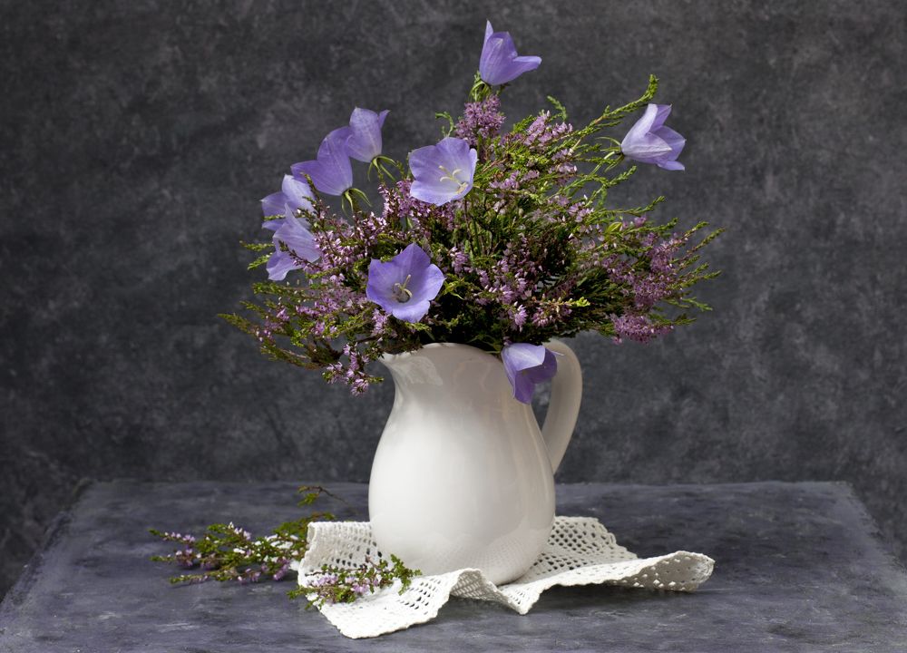 Photograph by Галина Щипакина