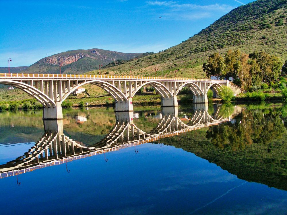 Photograph by Leo Tujak