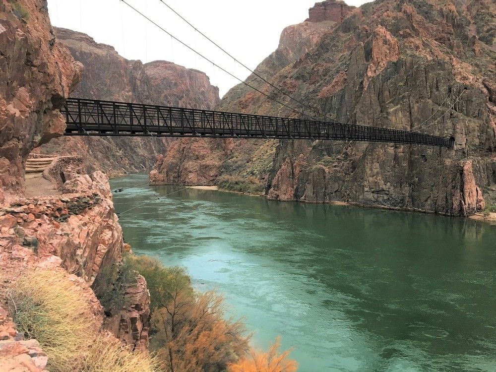 Фотография автора Елена