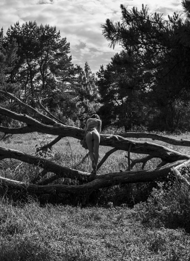 Photograph by Сергей Ласюта